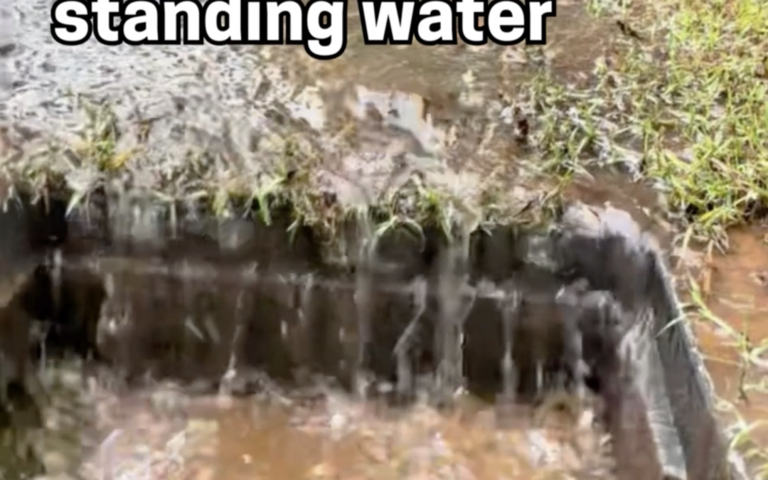 photo of an outdoor drain filled with water. Text beside it that says: Solutions to standing water